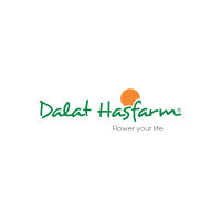 Download logo Dalat Hasfarm miễn phí